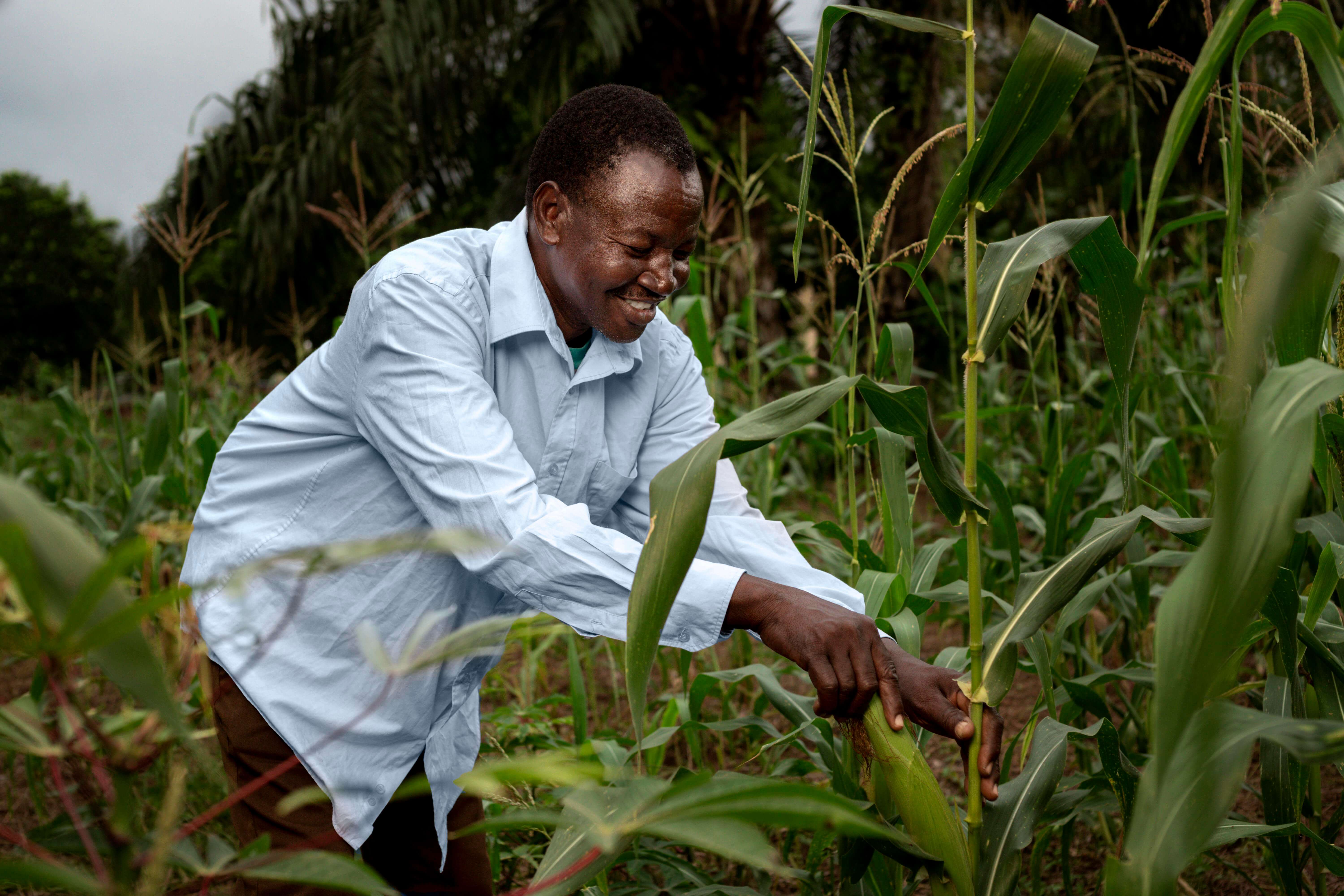 Agriculture and Environment